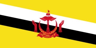 Brunei prepaid SIM card with data packages