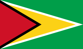 Guyana Prepaid-SIM-Karte mit Datenpaketen