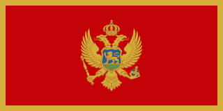 Montenegro prepaid SIM card with data packages