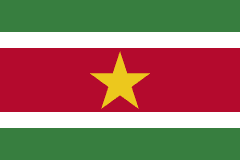 Suriname prepaid SIM card with data packages